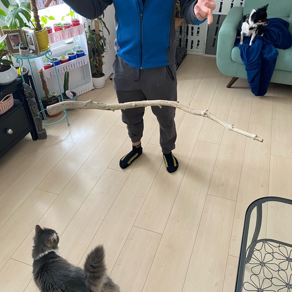 Drift wood plant hanger - Picture 2 of 3